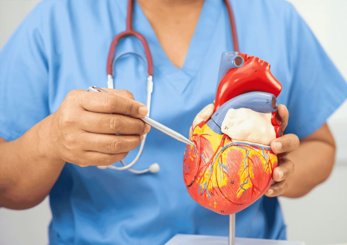 Best Cardiologist in Bangalore